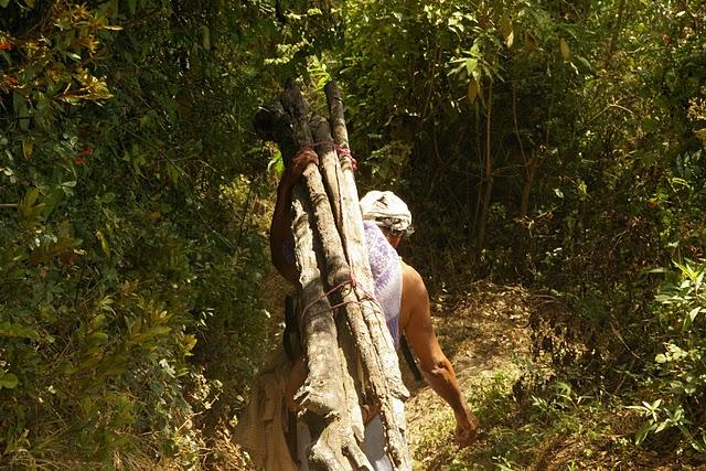 El boquerón, parque nacional?