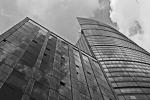 IMG_8175 bn