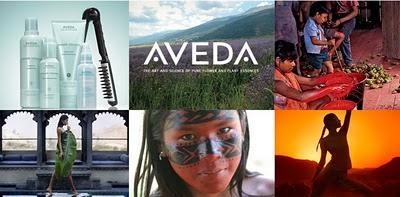 EL UNIVERSO AVEDA. EL UNIVERSO AVEDA.