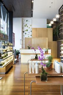 EL UNIVERSO AVEDA. EL UNIVERSO AVEDA.