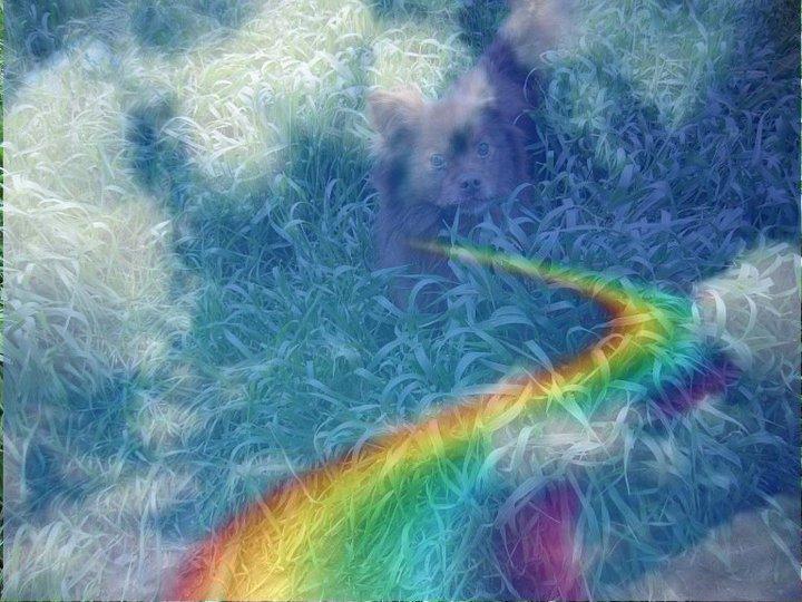 Bloggy se reunió con Marta