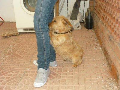 Nala, un tesoro en el trastero