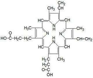 protoporfirina