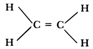Cuando la fruta madura...