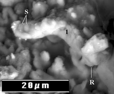 ¿Realmente se ha encontrado vida en un meteorito?