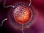 ¿Infertilidad femenina madres añosas?