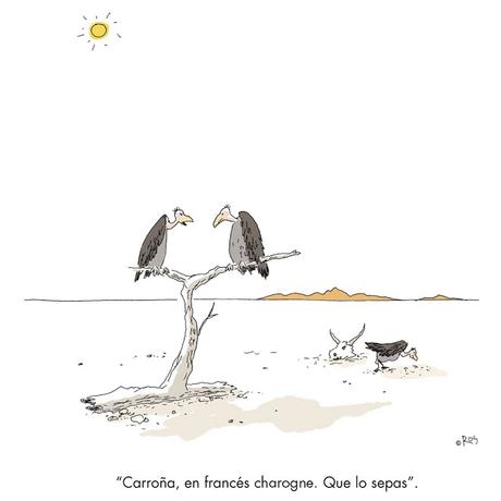 [Humor en cápsulas] Para hoy sábado,16 de septiembre de 2017