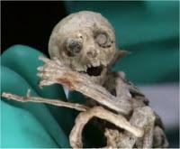 Retos UFO-ilógicos V: Humanoides entre nosotros