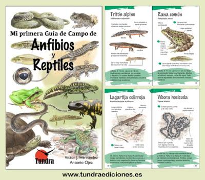 Mi primera Guía de Campo de Anfibios y Reptiles