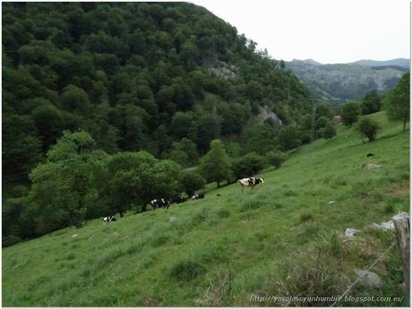 Ruta running Pasiega: San Roque de Riomiera - Valdicio y vuelta