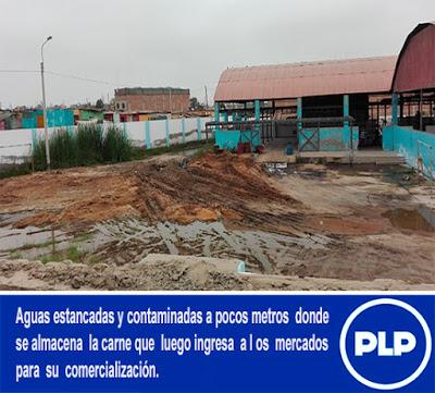 En San Vicente de Cañete: CAMAL MUNICIPAL PROMUEVE CRECIMIENTO DE BACTERIAS Y HONGOS PELIGROSOS…