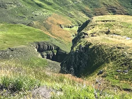 CASTRO VALNERA: LA CUMBRE