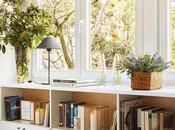 Plantas debemos tener casa