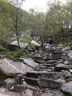 Fotografia-Norway-Abuelohara