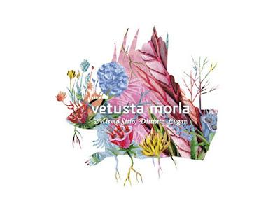 Vetusta Morla anuncian nuevo disco para noviembre: 'Mismo sitio, distinto lugar'