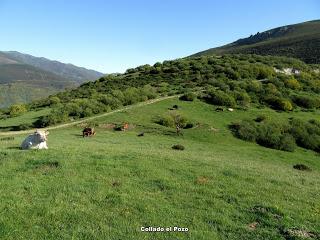 Camplongo-Cueto Millaró (o Brañacaballo)-Millaró de la Tercia