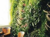 Deco: maravilla jardines verticales