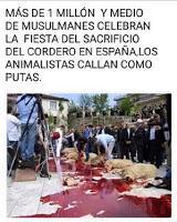 ARTÍCULO: También condenamos las matanzas religiosas