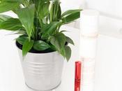 Belleza: favoritos septiembre'17