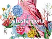 Vetusta Morla: Anuncian nuevo disco Mismo Sitio, Distinto Lugar