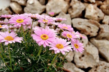 2 regalos y 1 sorteo 2 regalos y 1 sorteo