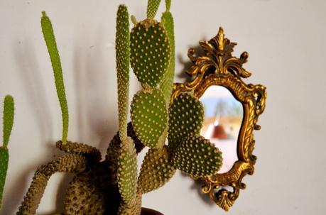 2 regalos y 1 sorteo 2 regalos y 1 sorteo