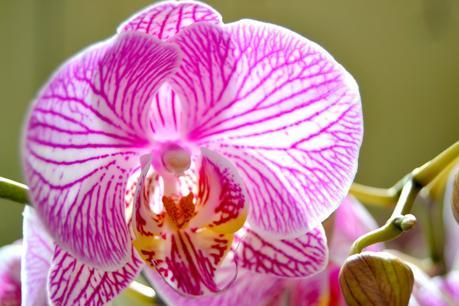 2 regalos y 1 sorteo 2 regalos y 1 sorteo