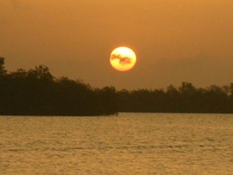 Construyendo el paraíso