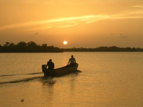 Construyendo el paraíso