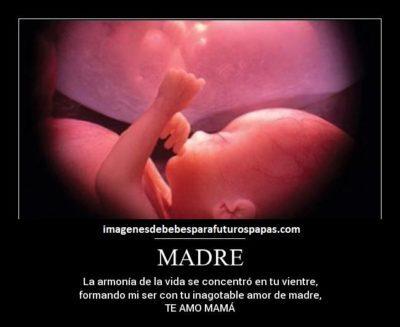 imagenes de bebes por nacer con frases amor