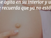 Cuatros bonitas imagenes bebes vientre frases