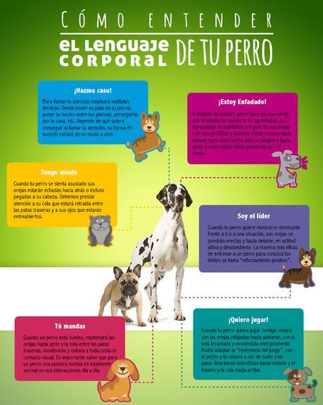 Post-Portal- cuidador-beneficios-blog-perros