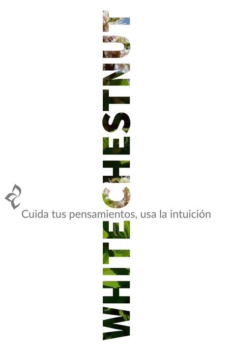 Mensajes para el alma