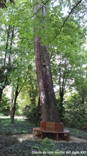 Actividades con niños: Un paseo por el Campo del Moro en Madrid