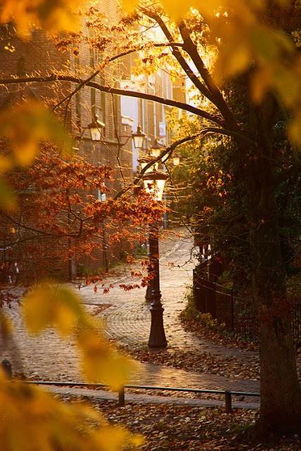 Otoño mágico