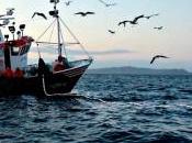 enmalle: arte pesca artesanal