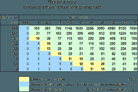 Fósforo y algas en piscinas naturales