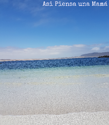 Desierto Florido de Atacama