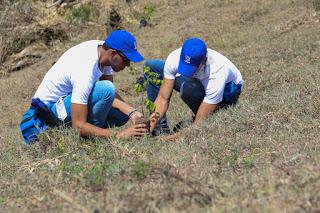 Empleados de AFP Popular reforestan en San José de las Matas