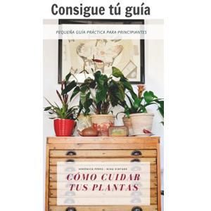 CÓMO CUIDAR TUS PLANTAS, YA UNA REALIDAD