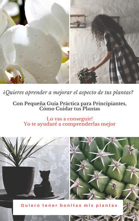 CÓMO CUIDAR TUS PLANTAS, YA UNA REALIDAD