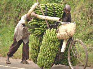 Una bicicleteada nocturna para festejar el Día Mundial Sin Automóvil