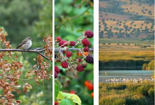 CURSO DE ESPECIALIZACIÓN EN ECOTURISMO E INTERPRETACIÓN DEL MEDIO NATURAL