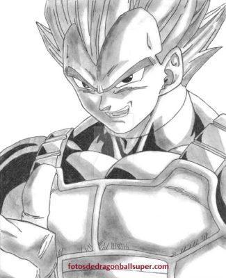 imagenes para dibujar de vegeta dibujos