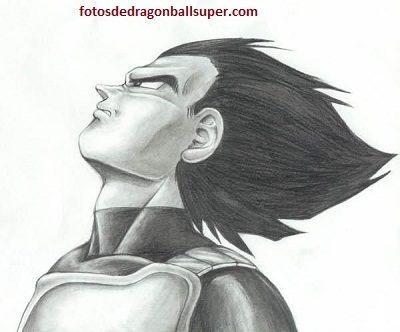 imagenes para dibujar de vegeta lapiz