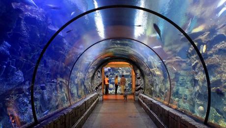 11 Lugares Geniales Que Visitar En Las Vegas