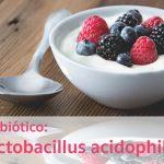 Lactobacillus acidophilus: ¿por qué necesita un buen suplemento probiótico cuando tiene fibromialgia?
