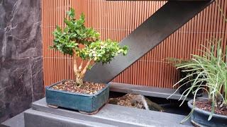 Repaso de verano 2017 : la zona del estanque