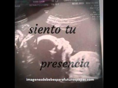 frases de papa para bebes en el vientre baby