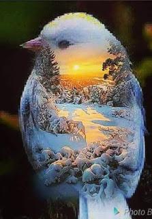 HE CAMINADO SIN RUMBO...